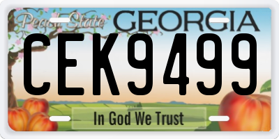 GA license plate CEK9499