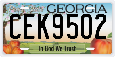 GA license plate CEK9502