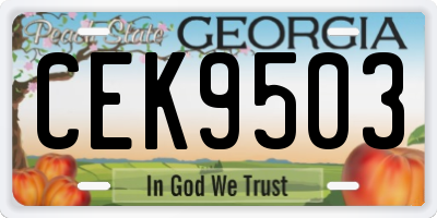 GA license plate CEK9503