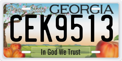GA license plate CEK9513
