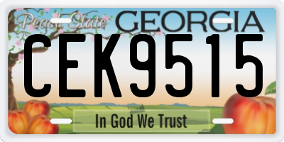 GA license plate CEK9515