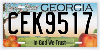 GA license plate CEK9517
