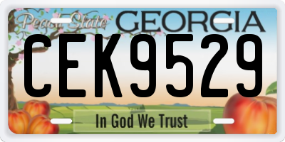 GA license plate CEK9529