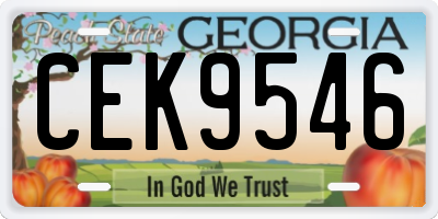 GA license plate CEK9546