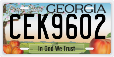 GA license plate CEK9602