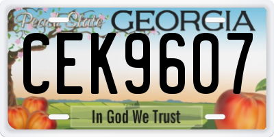 GA license plate CEK9607