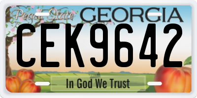 GA license plate CEK9642