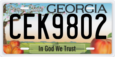 GA license plate CEK9802