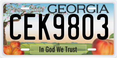 GA license plate CEK9803