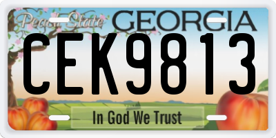 GA license plate CEK9813