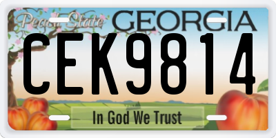 GA license plate CEK9814