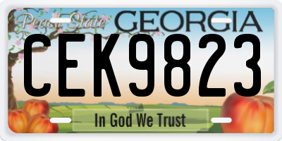 GA license plate CEK9823