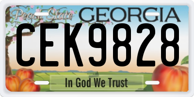 GA license plate CEK9828