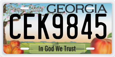 GA license plate CEK9845