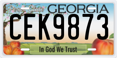 GA license plate CEK9873