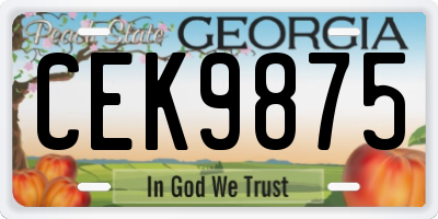 GA license plate CEK9875