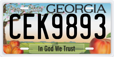 GA license plate CEK9893