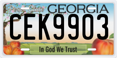 GA license plate CEK9903