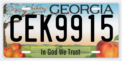 GA license plate CEK9915