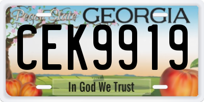 GA license plate CEK9919