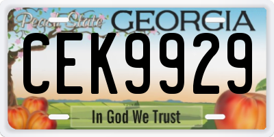 GA license plate CEK9929