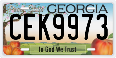 GA license plate CEK9973