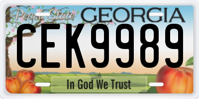 GA license plate CEK9989