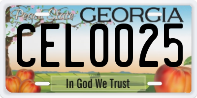 GA license plate CEL0025