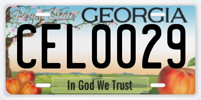 GA license plate CEL0029