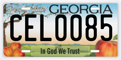 GA license plate CEL0085