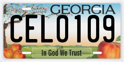 GA license plate CEL0109