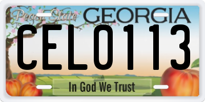 GA license plate CEL0113