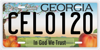 GA license plate CEL0120