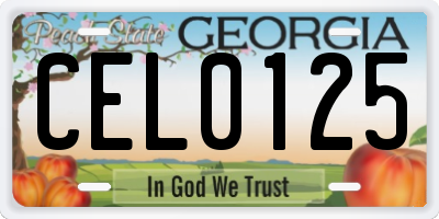 GA license plate CEL0125