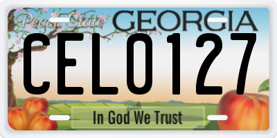 GA license plate CEL0127