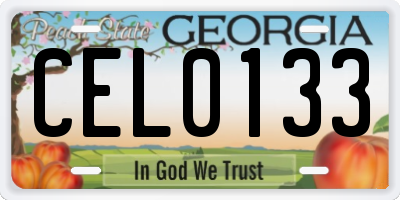 GA license plate CEL0133