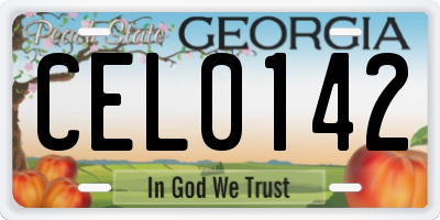 GA license plate CEL0142