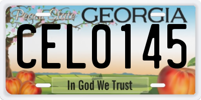 GA license plate CEL0145