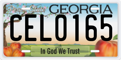 GA license plate CEL0165