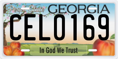 GA license plate CEL0169