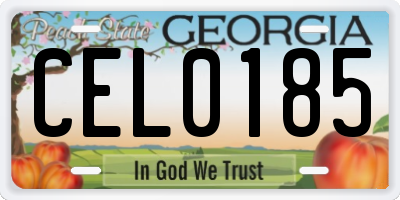 GA license plate CEL0185
