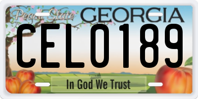 GA license plate CEL0189