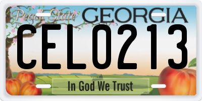 GA license plate CEL0213