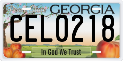 GA license plate CEL0218