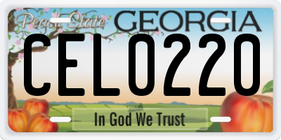 GA license plate CEL0220