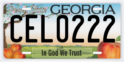 GA license plate CEL0222