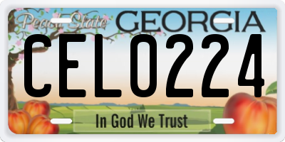 GA license plate CEL0224