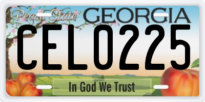 GA license plate CEL0225