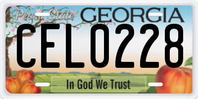 GA license plate CEL0228