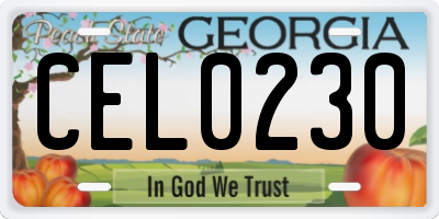 GA license plate CEL0230